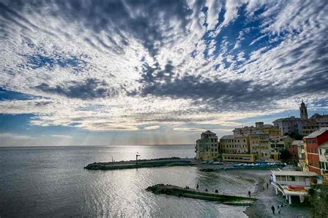 bacheca incotri genova|Genova: Oggi solo per ospitali